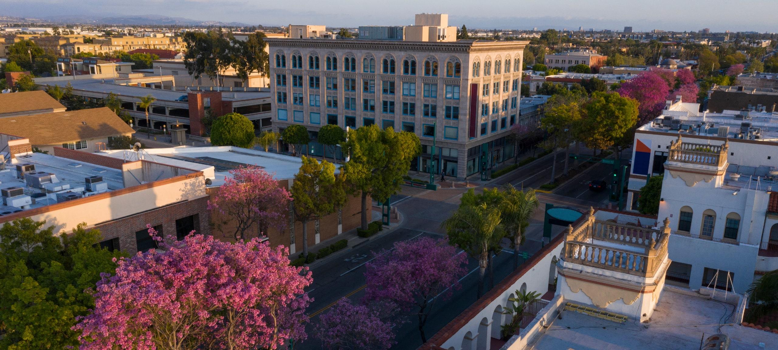 Aerial view of downtown Fullerton, CA and blooming trees