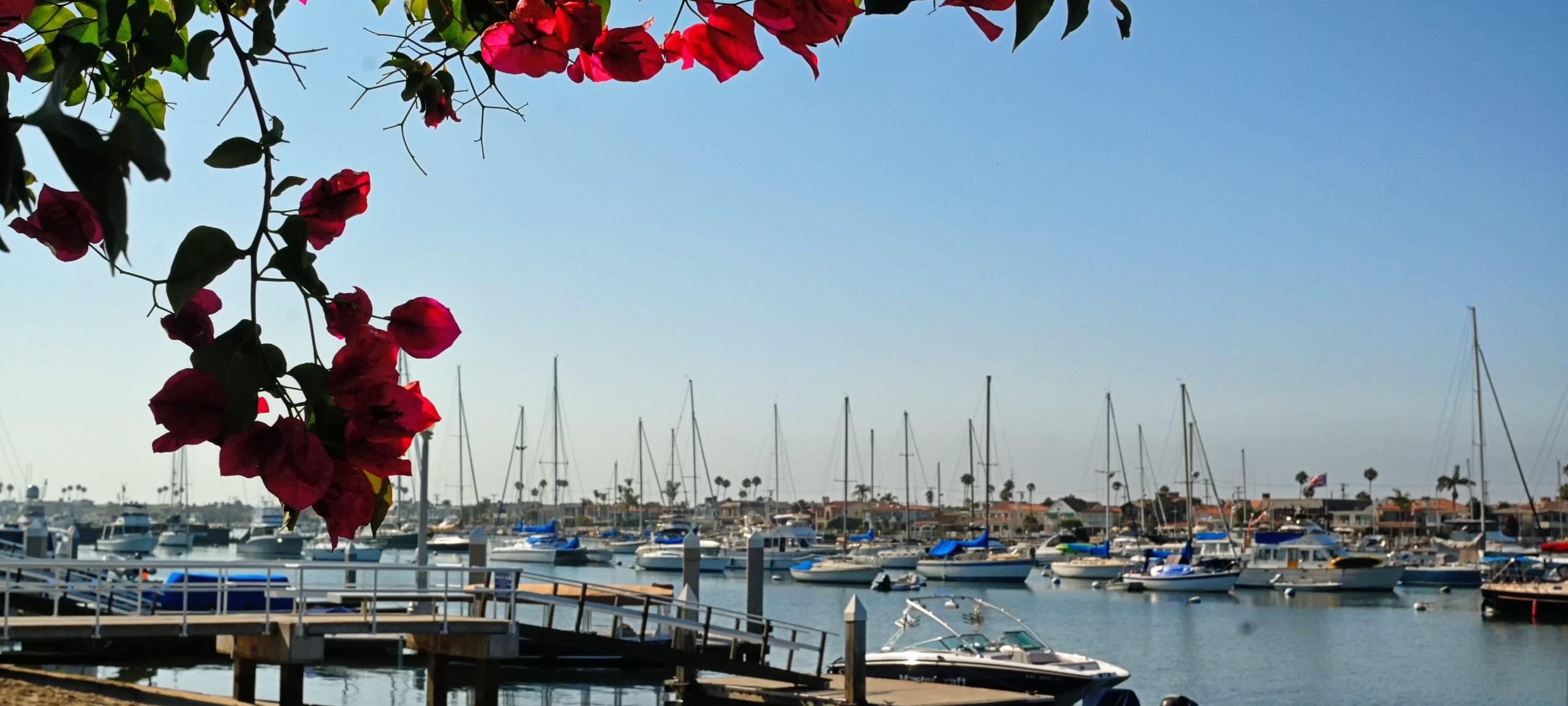 Flowers over marina at Newport Beach, CA